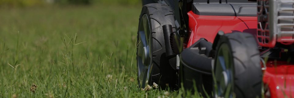 The grass is always greener
on your side of the fence